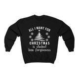Sweatshirt All I Want For Christmas is Student Loan Forgiveness Sweatshirt - Physio Memes