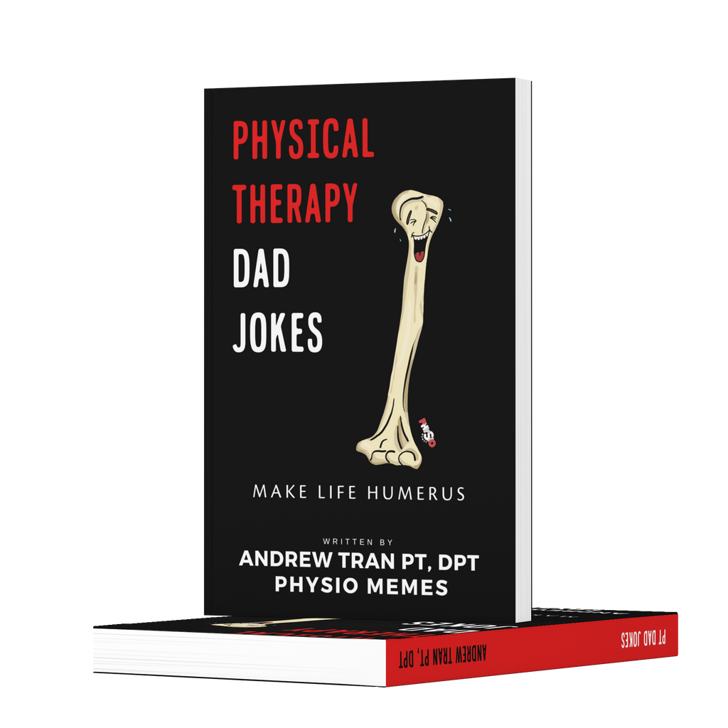 Book Physical Therapy Dad Jokes Book - Physio Memes