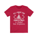 T-Shirt All I Want for Christmas is Student Loan Forgiveness Shirt - Physio Memes